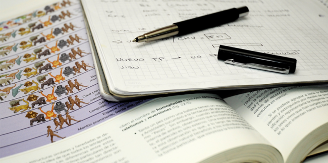 Cambios al permiso de estudio para contrarrestar los abusos del sistema