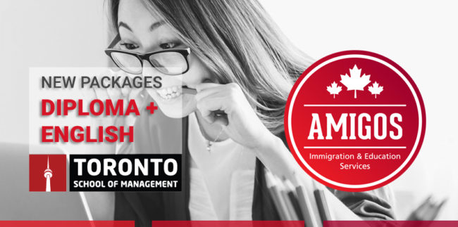 Toronto school of management