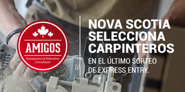 carpinteros, wood, nova scotia, provincial nominee program