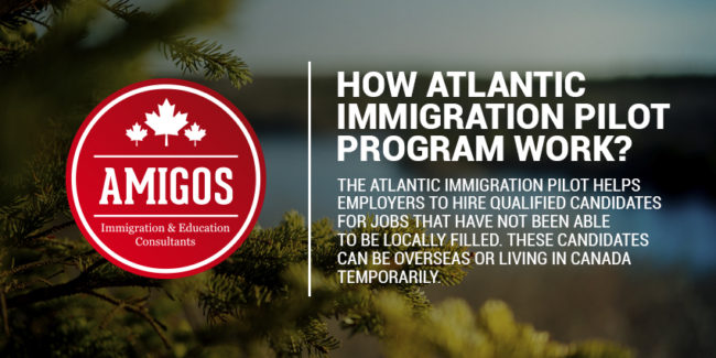 atlantic pilot program blog