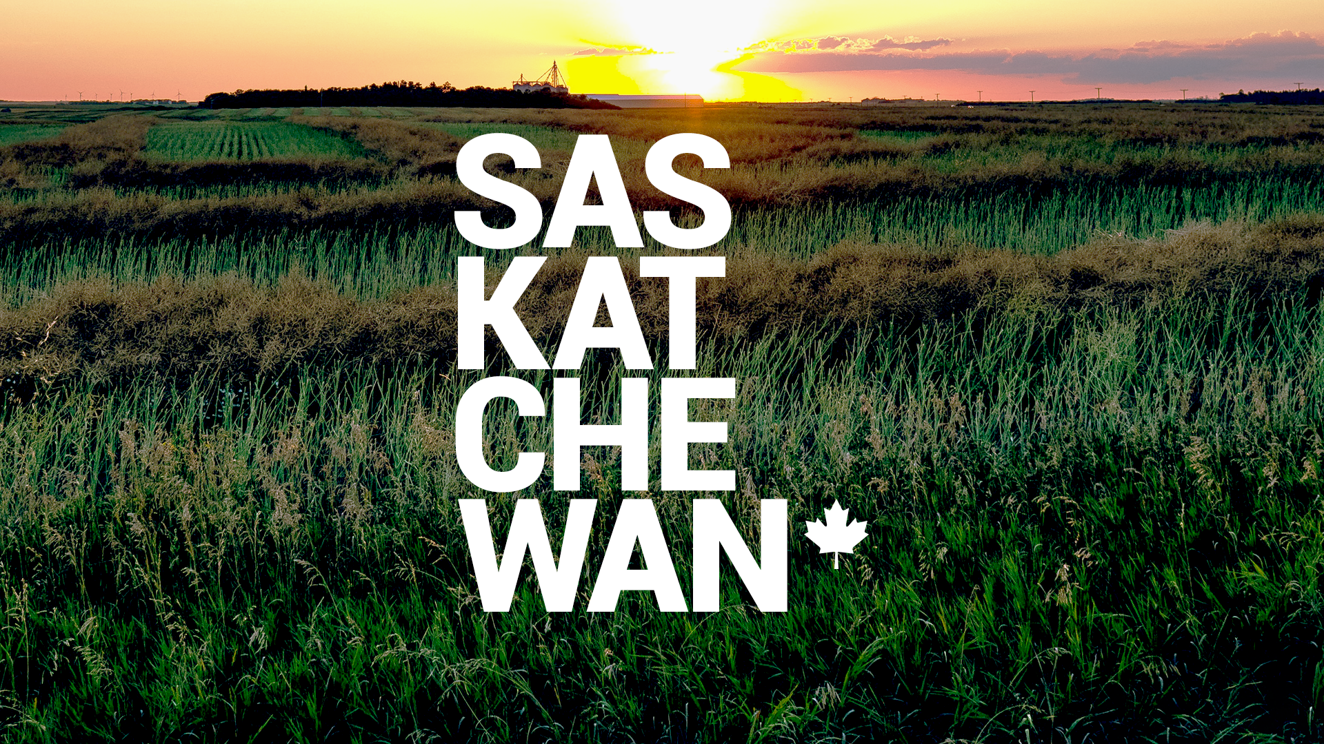 Featured image Saskatchewan, banner